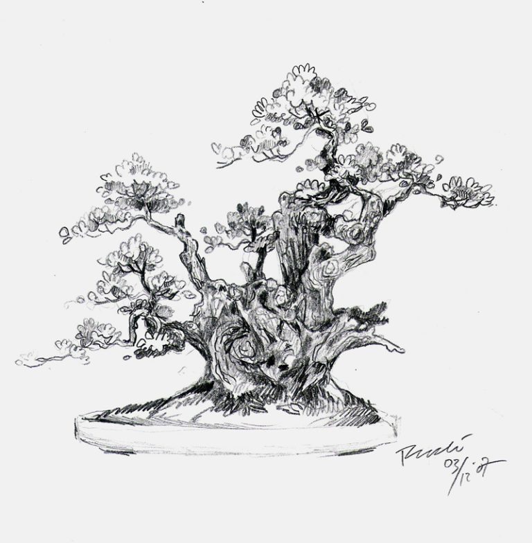 Fenomenalni crteži bonsai drvca koji ostavljaju bez teksta.