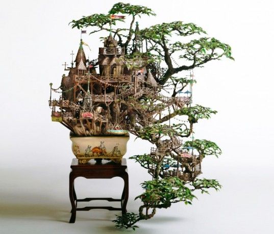 Bonsai iz zemlje čuda