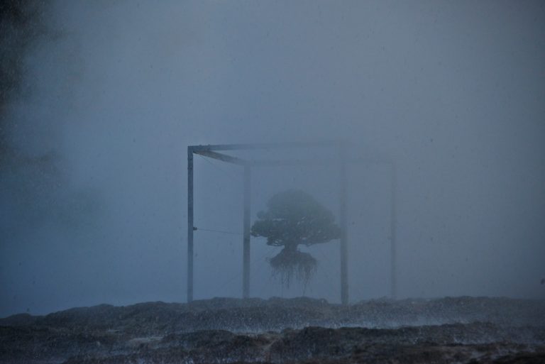 Zimske pripreme za vaše bonsai drvo