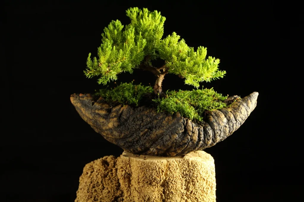 ZANSHIN (残心)