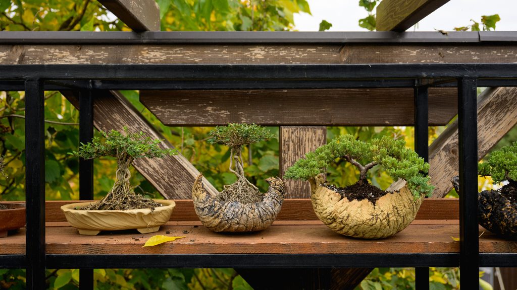 Ručno rađene bonsai posude od kamenine